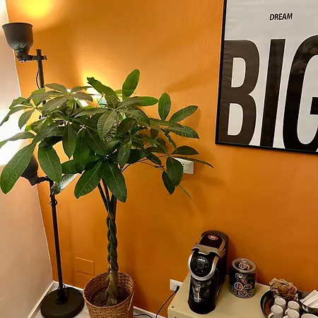 Charming Navona - The Loft Appartamento