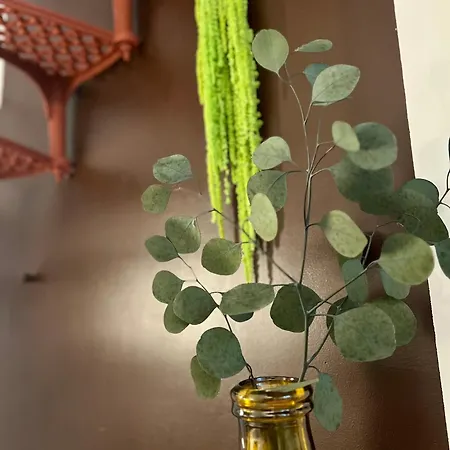 Διαμέρισμα Charming Navona - The Loft